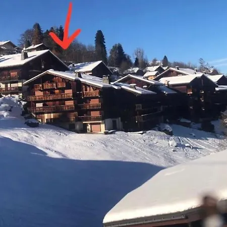 Ski-in/ski-out & Pool: Great For Summer And Winter